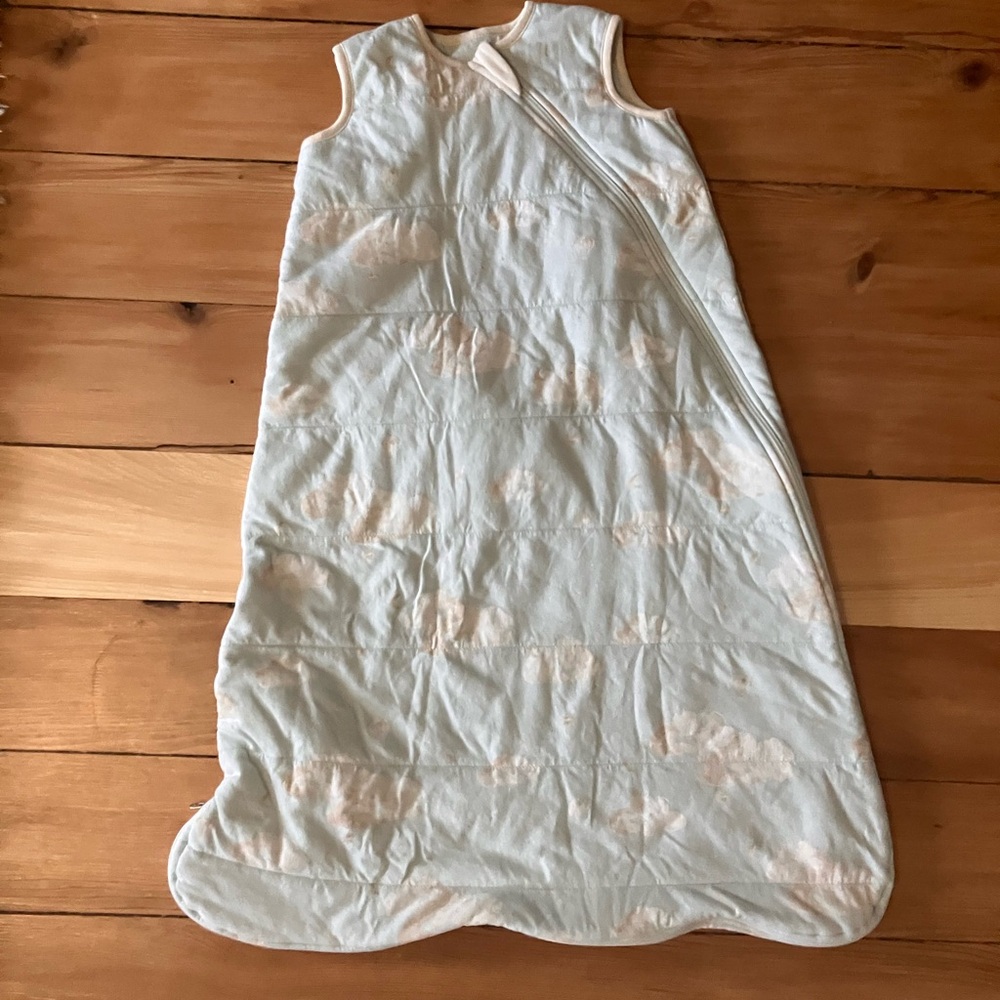 Burt's Bees Mint Green Baby Sleep Sack - Cloud Print